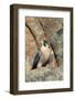 Female Peregrine Falcon on Granite Cliff-W. Perry Conway-Framed Photographic Print