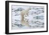 Female Polar Bear Reflecting in the Water (Ursus Maritimus)-Gabrielle and Michel Therin-Weise-Framed Photographic Print