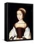 Female Portrait, 1530S-Corneille de Lyon-Framed Stretched Canvas