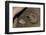 Female Prairie Dog with Pups-W. Perry Conway-Framed Photographic Print