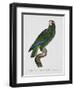 Female Puerto Rican Parrot-Jacques Barraband-Framed Premium Giclee Print