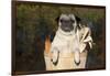 Female Pug in an Old Peach Basket with Indian Corn, Rockford, Illinois, USA-Lynn M^ Stone-Framed Photographic Print