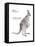 Female Red Kangaroo with Joey (Macropus Rufus), Marsupial, Mammals-Encyclopaedia Britannica-Framed Stretched Canvas