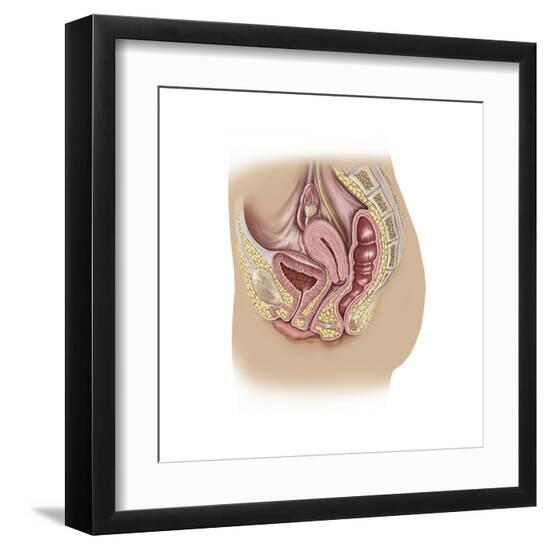 Art Print, , large