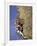 Female Rock Climber-null-Framed Photographic Print