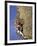 Female Rock Climber-null-Framed Photographic Print