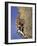 Female Rock Climber-null-Framed Photographic Print