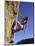 Female Rock Climber-null-Mounted Photographic Print