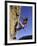 Female Rock Climber-null-Framed Photographic Print