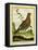 Female Ruffed Grouse-Georges-Louis Buffon-Framed Stretched Canvas
