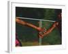 Female Runner Competing in a Relay Track Race-null-Framed Photographic Print