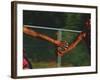 Female Runner Competing in a Relay Track Race-null-Framed Photographic Print