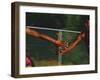 Female Runner Competing in a Relay Track Race-null-Framed Photographic Print