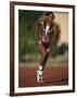 Female Runner Competing in a Track Race-null-Framed Photographic Print