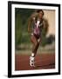 Female Runner Competing in a Track Race-null-Framed Photographic Print