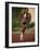 Female Runner Competing in a Track Race-null-Framed Photographic Print