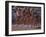 Female Runners at the Start of a Track Race-null-Framed Photographic Print