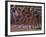 Female Runners at the Start of a Track Race-null-Framed Photographic Print