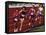 Female Runners Competing in a Track Race-null-Framed Stretched Canvas