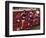 Female Runners Competing in a Track Race-null-Framed Photographic Print