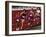 Female Runners Competing in a Track Race-null-Framed Photographic Print