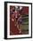 Female Runners Competing in a Track Race-null-Framed Photographic Print