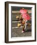 Female Shopkeeper in Thai Old Fashioned Traditional Cloth ,Red Paper Umbrella and Load Thai Food In-aodaodaodaod-Framed Photographic Print