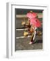 Female Shopkeeper in Thai Old Fashioned Traditional Cloth ,Red Paper Umbrella and Load Thai Food In-aodaodaodaod-Framed Photographic Print