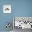 Female Shorthair Cream-Tricolour Guinea Pig Standing over Her Four One-Week Babies, UK-Jane Burton-Photographic Print displayed on a wall