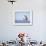 Female Snowy Owl Against Sky, Scotland, UK-Niall Benvie-Framed Photographic Print displayed on a wall