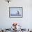 Female Snowy Owl Against Sky, Scotland, UK-Niall Benvie-Framed Photographic Print displayed on a wall