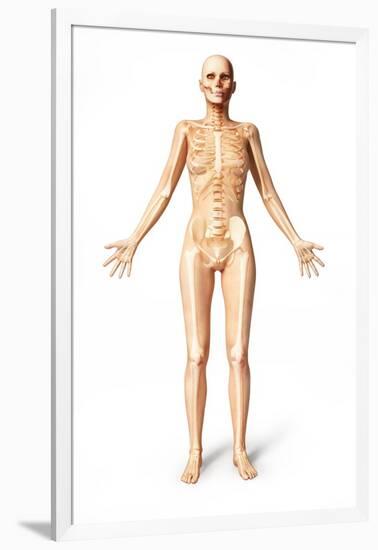 Female Standing, with Skeletal Bones Superimposed, Front View-null-Framed Art Print