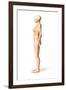 Female Standing, with Skeletal Bones Superimposed, Side View-null-Framed Art Print