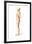 Female Standing, with Skeletal Bones Superimposed, Side View-null-Framed Art Print
