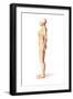 Female Standing, with Skeletal Bones Superimposed, Side View-null-Framed Art Print