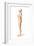 Female Standing, with Skeletal Bones Superimposed, Side View-null-Framed Art Print