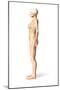 Female Standing, with Skeletal Bones Superimposed, Side View-null-Mounted Art Print