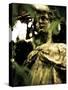 Female Statue Partly Obscured by Leaves in Cemetery-Clive Nolan-Stretched Canvas