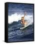 Female Surfer Riding a Wave-null-Framed Stretched Canvas