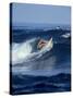 Female Surfer Riding a Wave-null-Stretched Canvas