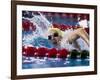 Female Swimmer Competing in a Race-null-Framed Photographic Print