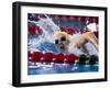 Female Swimmer Competing in a Race-null-Framed Photographic Print