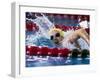 Female Swimmer Competing in a Race-null-Framed Photographic Print