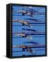 Female Swimmers at the Start of a Race-null-Framed Stretched Canvas