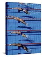 Female Swimmers at the Start of a Race-null-Stretched Canvas