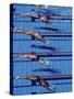 Female Swimmers at the Start of a Race-null-Stretched Canvas