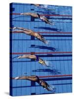 Female Swimmers at the Start of a Race-null-Stretched Canvas