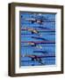 Female Swimmers at the Start of a Race-null-Framed Premium Photographic Print