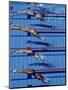 Female Swimmers at the Start of a Race-null-Mounted Premium Photographic Print