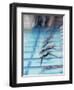 Female Swimmers at the Start of a Race-null-Framed Photographic Print